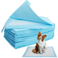 10pcslot Dog Pee Pee Pads Training Pee Pads Super Absorbent Pet Diaper Disposable Healthy Clean Nappy Mat For Pets Dairy Diaper