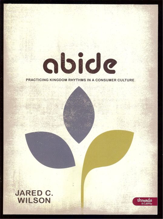 Abide: Practicing Kingdom Rhythms in a Consumer Culture