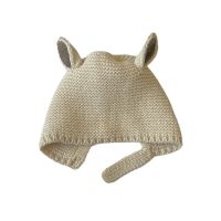 หมวกเด็กฤดูใบไม้ร่วงและฤดูหนาว Ins หูกระต่ายถักหมวกป้องกันหูเด็กสุดน่ารักหมวกขนสัตว์เด็ก