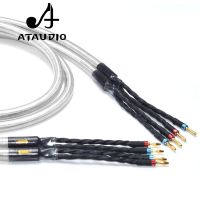 Hifi Silver and Copper Speaker Cable High Quality Speaker Wire With Gold-plated Banana Jack