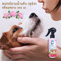 ีฉีกกฎอาบน้ำสุนัข!! สเปรย์อาบน้ำแห้ง (สุนัข) กลิ่นกุหลาบ 250 ml หอมไปทั้งตัว ขนฟูนุ่มน่ากอด สะอาดไม่ต้องใช้น้ำสักหยด นวัตกรรมใหม่