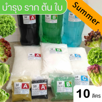 ปุ๋ย ABC Hydroponics Summer สำหรับผักไฮโดรโปนิกส์ ชุดทนร้อน ชนิดแห้ง ชุด 10 ลิตร ( A 10L ,B 10L และ C 10L) สูตรทานใบ