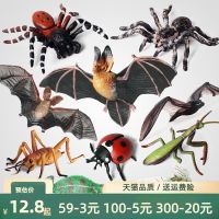 【STCOK】 Simulated Bat Static Solid Animal Model Flying Cockroach Fly Mantis Cicada Spider Toy