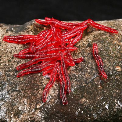 ；。‘【； 50Pcs Bloodworm Soft Plastic Lure PVC Earthworm Red Worm Fishing Bait Bionics Fish Baits Saltwater Freshwater Lures