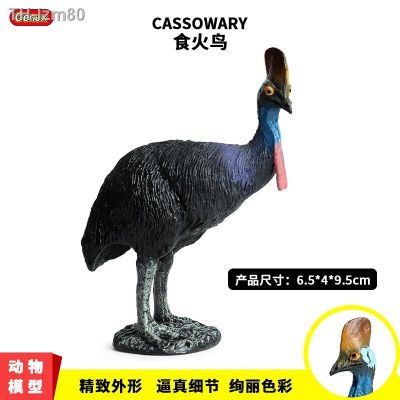 🎁 ของขวัญ จำลองสัตว์ป่ารุ่น solid bird cassowary ostrich เด็กของเล่นความรู้ความเข้าใจฉากตกแต่ง