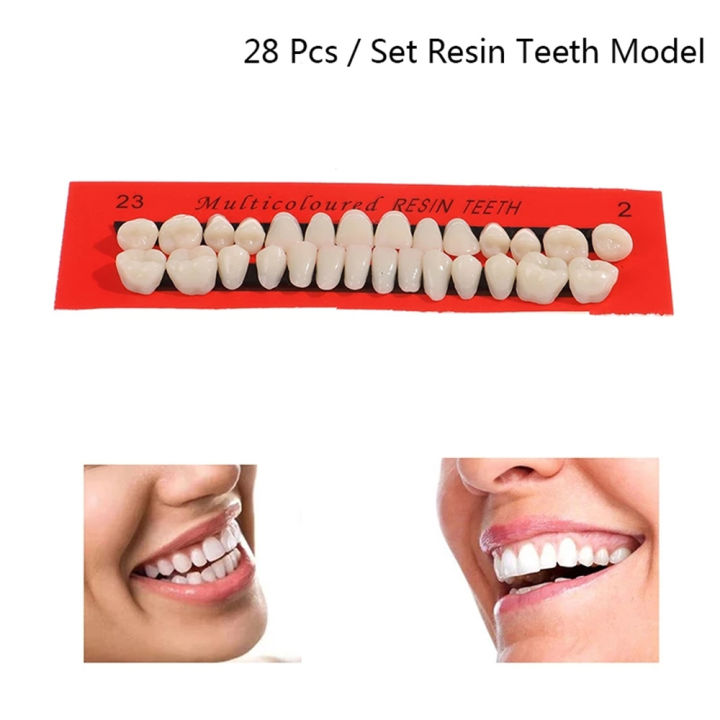 28pcs-set-material-dentures-teaching-dedicated-model-durable-resi-teeth-universal