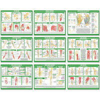 2ชิ้นภาษาอังกฤษการเรียนการสอนกายวิภาคศาสตร์แผนภาพ40x60เซนติเมตร (16x24นิ้ว) การ์ตูนโปสเตอร์โปสเตอร์ทางการแพทย์ตารางกล้ามเนื้อข้อต่อ HD พิมพ์ผนังจิตรกรรม