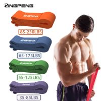 Exercise Resistance Bands Natural Latex Elastic Rubber Workout Fitness Equipment Expander Elastic Rubber Bands for Home Gym Exercise Bands