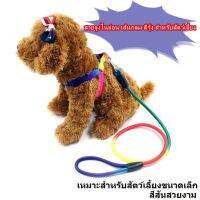 สายจูงสัตว์เลี้ยง สีรุ้ง เส้นกลม  ชือกรัดอก สายรัดอก สายจุงสุนัข/แมว-P193