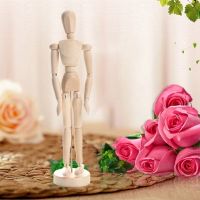 Tall Wooden Human Mannequin Movable Limbs Human Artist Model Wooden Manikin Drawing Mannequin Model