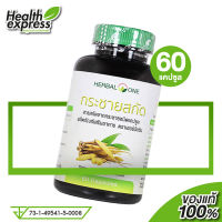 Herbal One Finger Root Extract เฮอร์บัล วัน กระชายสกัด [60 แคปซูล]