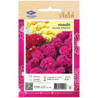 เมล็ดพันธุ์ หงอนไก่ (CELOSIA CRISTATA) บรรจุประมาณ 282 เมล็ด (0.2 กรัม)  เจียไต๋ ตราเครื่องบิน