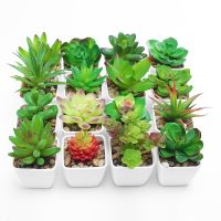 Artificial Mini Green Succulent Plants Fake Simulation Bonsai With Pots Decorative Mini Plants Desktop Ornaments Decor For Home