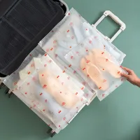 Travel Transparent Clothes Storage Bags for Shoes Makeup Underwear Zipper Travel Packing Portable Organizer Pouch