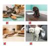 Xịt chống đi bậy cho chó mèo daoliqi - xịt chống cắn phá cho thú cưng 500ml - ảnh sản phẩm 7