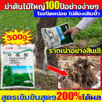 สูตรเข้มข้นสุดๆ200%ได้ผล ยาฆ่าต้นไม้ใหญ ฆ่าต้นไม้ใหญ่100ปีอย่างง่ายๆ ยา ยากำจัดต้นไม้ รากเน่าอย่างสิ้นเชิงผงกำจัดต้นไม้ บอกลาการตัดต้นไม้ด้ว ตนเอง ยาฆ่าตอต้นไม้ ไม่ทำร้ายที่ดิน ได้ผลทันที ผงฆ่าต้นไม้ กำจัดต้นไม้