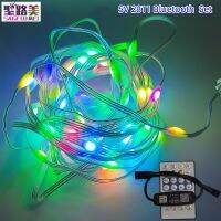 5m 50leds DC5V WS2812B 5050 RGB LED String Lights IP68 Individually Addressable Smart Dream Color for Christmas Party Decoration