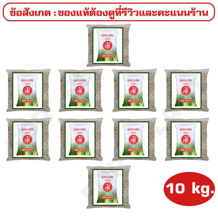 ปุ๋ย-สูตร-25-9-9-ตราช้างป่า-เเบ่งบรรจุ-10-กิโลกรัม-บำรุง-ราก-ปุ๋ยเร่งต้น-ใบ-ดอก-ผล-ใส่ผัก-ผลไม้-ไม้ดอกไม้ประดับ