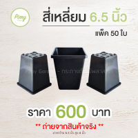 50 ใบ กระถางทรงสี่เหลี่ยม กระถางต้นไม้ กระถางปลูกตอ 6.5x8 นิ้ว สีดำ