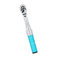 Click Style Torque Wrench with Storage Case Adjustable Torque Bidirectional Ratcheting Head Micro Adjusting Torque Wrenches for Spark Plug Auto Repair Mechanical Assembly