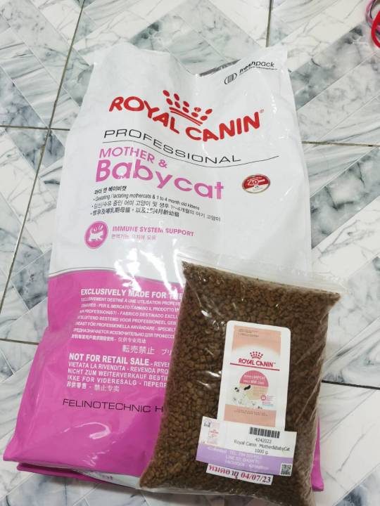 42pets-royal-canin-แบ่ง-1-kg-kitten-mother-amp-baby-ลูกแมว-แม่แมวและลูกแมว-ถุงแบ่ง-แบ่งขาย