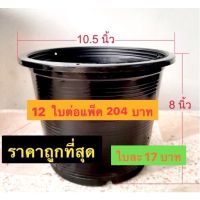 กระถางพลาสติก กระถางต้นไม้ ขนาด 10/11 นิ้ว ส่ง 12 ใบต่อแพ็ค 144 บาท