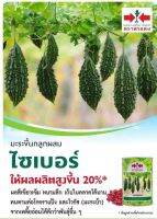 มะระ ขี้นก#ไซเบอร์ขายดีตลอดกาล‼️✅ ผลสีเขียวเข้ม หนามเล็ก ✅ เก็บในตลาดได้นาน ผลผลิตสูงขึ้น20 ✅ ผลผลิต 2-2.5 ตัน/ไร่