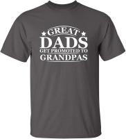 Great Dads Get Promoted to Grandpas Pops Mens Graphic Novelty Funny T Shirt