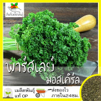 เมล็ดพันธุ์ พาร์สเลย์ มอสเคิร์ล 200 เมล็ด Moss Curled Parsley Seed เมล็ดพันธุ์แท้ นำเข้าจากต่างประเทศ ปลูกผัก สวนครัว