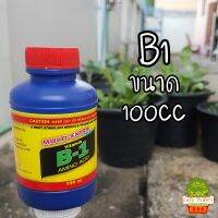 ยาเร่งราก ไอรินมัลติ (B1 เดิม) ขนาด 100cc ของแท้ ของไทย เกรด A (เปลี่ยนฉลากจาก B1 เป็น ไอรินมัลติ) ไอรินมัล