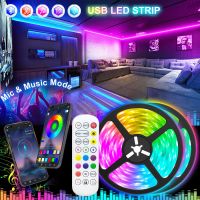 【CW】 USB Strip Lights 5050 Bluetooth 5V Lamp Room Decoration TV BackLight Tape Lighting Luces