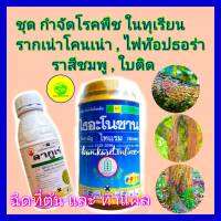 กำจัดโรคในุเรียน โรครากเน่าโคนเน่า ไฟท๊อปธอร่า ไธอะโนซาน (ไทแรม) 500g + ลากูเร่ 500 cc ยาทุเรียน ใบติด ใบจุด ราสีชมพู  ฉีดที่ต้นกิ่ง ทาแผล