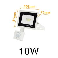 Motion Sensor LED Floodlight 10W 20W 30W 50W 100W Outdoorlight Waterproof White Reflector Spotlight For Garden Wall Street Light