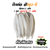 ปีกต่อไก่ชน ปีกไก่ชน ขาว สา ดู่ กรด หม่น ดอก ไม่เปาะ คัดพิเศษ 1 ชุดมีมากกว่า 40เส้น พร้อมส่งทันที เก็บปลายทาง