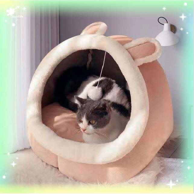 Lazada cat bed sale