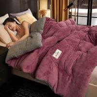 ขนแกะแกะ Super Warm ผ้านวมฤดูหนาวหนา Warm Coral Fleece ผ้าห่มเดี่ยวคู่หอพักนักเรียน Flannel Quilt