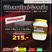 ** ขายยกลัง ** คาสซ่า-นิโคลซาไมด์ อีทานอลลามีน ( 250g*12 กป. ) ยาเหลือง ยาฆ่าหอย สารป้องกันกำจัด หอยเชอร์รี่ ชนิดถูกตัวตาย ไร้กลิ่น ปลาไม่ตาย