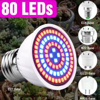 【hot】﹍▩  80leds 220V Lamp Spectrum Growth Indoor Lighting Lights E27 Hydroponic System