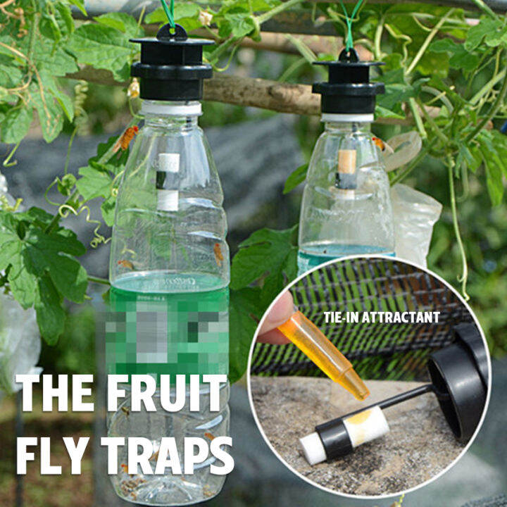 【Ready Stock】Fruit Fly Trap Killer 1PC Plastic Drosophila Trap Fly Catcher With Attractant for