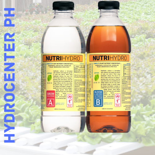 NUTRIHYDRO hydroponics nutrient solutions LETTUCE FORMULA Lazada PH