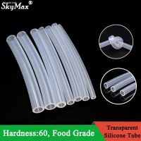 ❧■▬ 1/5/10M Food Grade Clear Transparent Silicone Rubber Hose ID 0.5 1 2 3 4 5 6 7 8 9 10 12mm O.D Flexible Nontoxic Silicone Tube