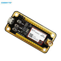 ชุดบอร์ดทดสอบการพัฒนา STM32สำหรับ E77-400M22S CDEBYTE E77-400MBL-01 Pre-Soldered USB Interface LoRa Module พร้อมเสาอากาศ