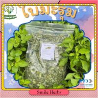 ใบมะรุม (Moringa) อบแห้ง ขนาด 50/100 กรัม บำรุงร่างกาย นอนหลับง่าย ผักสมุนไพรอบแห้ง ใช้เป็นชาหรือประกอบอาหาร [Smile Herbs]