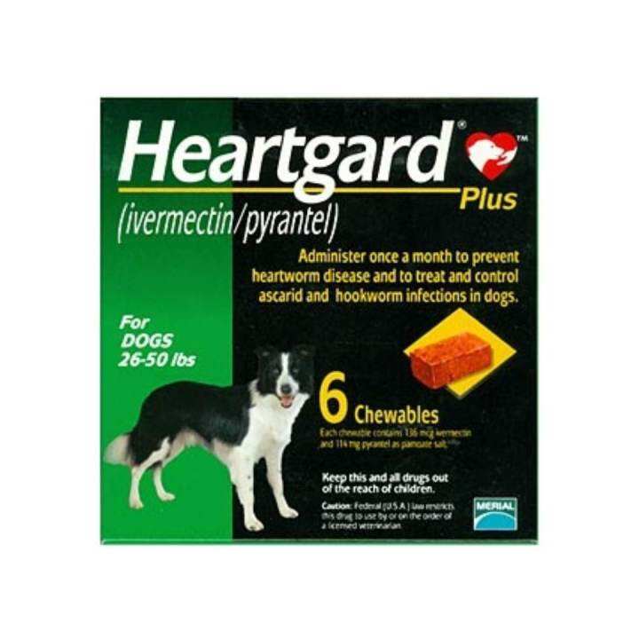 Heartgard Plus prevent canine heartworm disease in dogs 12 22 kg