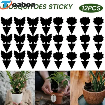 40PCS Strong Sticky Traps Insect Killer Plant Bug Fruit Fly Gnat