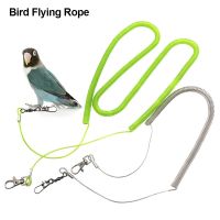 4-10M Flying Rope Cockatiels Starling Leash Kits Anti-bite Outdoor Straps Training