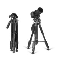 ☄✷❧ FYUJDFGF New Z666 Accessories with Pan for Dslr