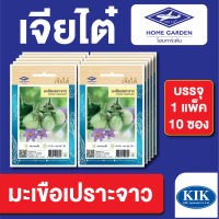 ผักซอง เจียไต๋ CT15 มะเขือเปราะจาว บรรจุแพ็คล่ะ 10 ซอง ราคา 70 บาท