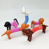 Mini Tubo Sensorial De Animales Para Niños Y Os,Juguete Extensible De Descompresión Para Aliviar El Estrés Emocional,19 Unidades