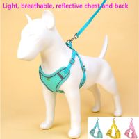 Dog Harness Clothes Vest Chest Cat Collars Rope Small Dogs Reflective Breathable Adjustable Outdoor Walking Pet Supplies Wholesa
